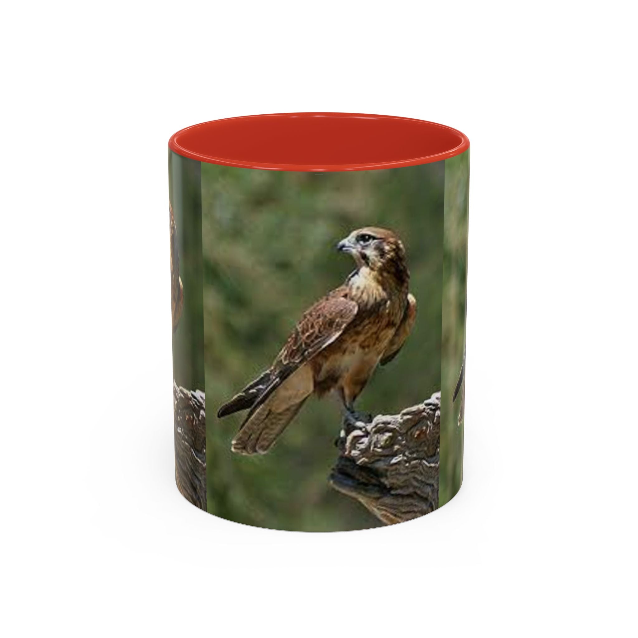 Kestrel Falcon Photo Mug | Accent Coffee Mug 11oz 15oz