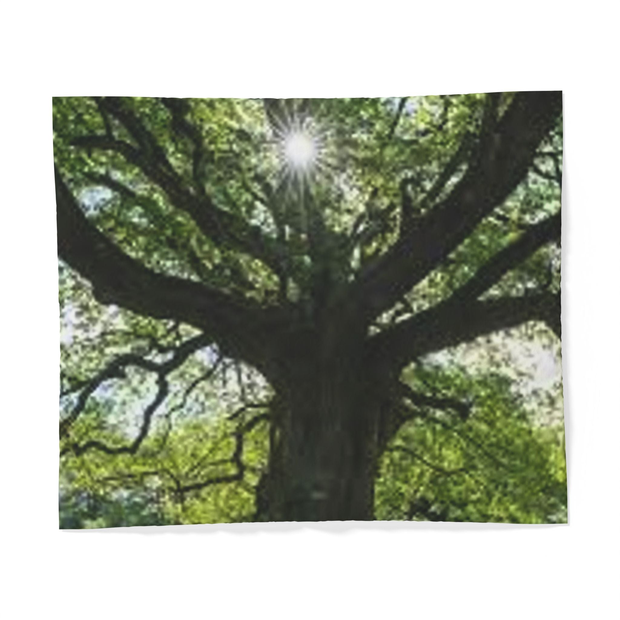 Sunlit Oak Tree Duvet Cover | Forest Canopy Nature Bedding