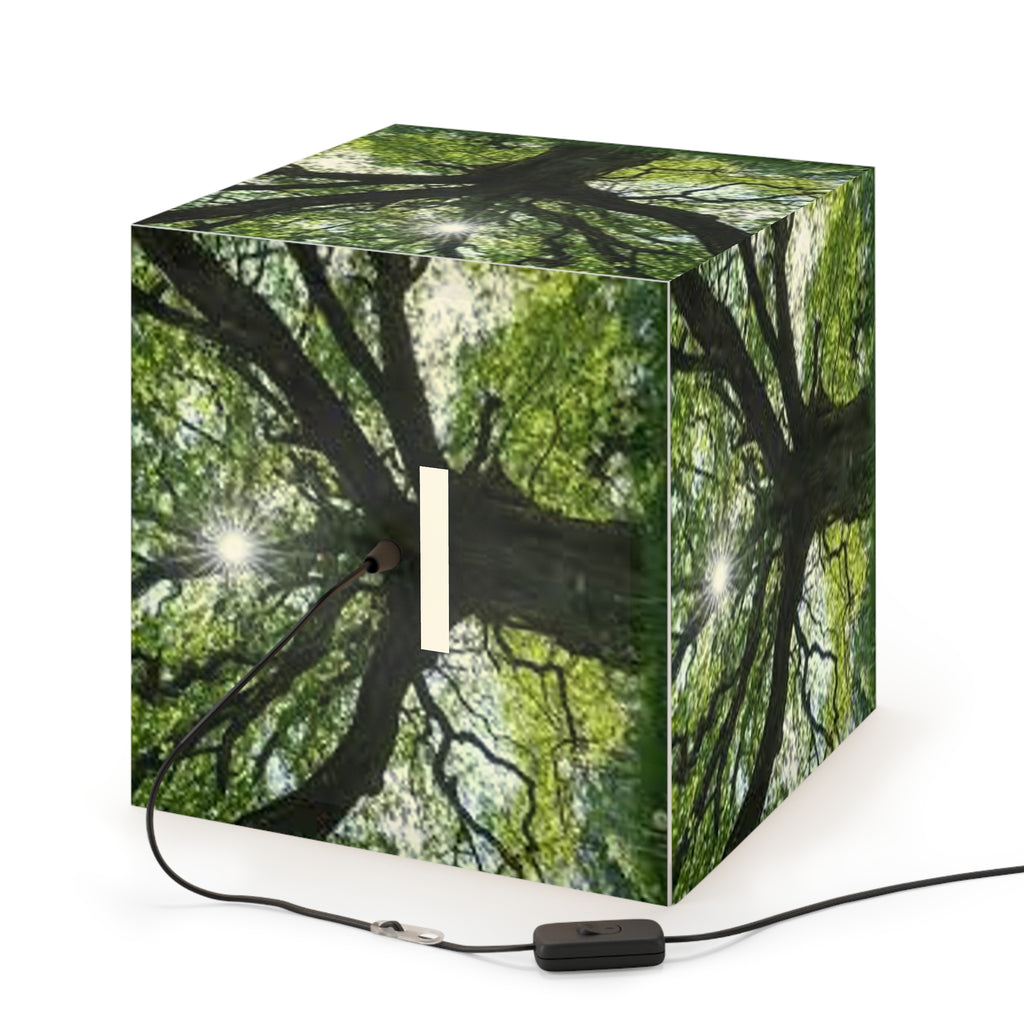 Sunlit Oak Tree Light Cube Lamp | Nature Photography Pendant