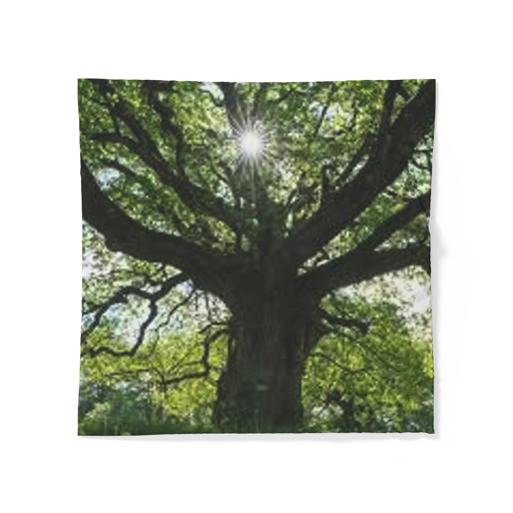 Sunlit Oak Tree Duvet Cover | Forest Canopy Nature Bedding