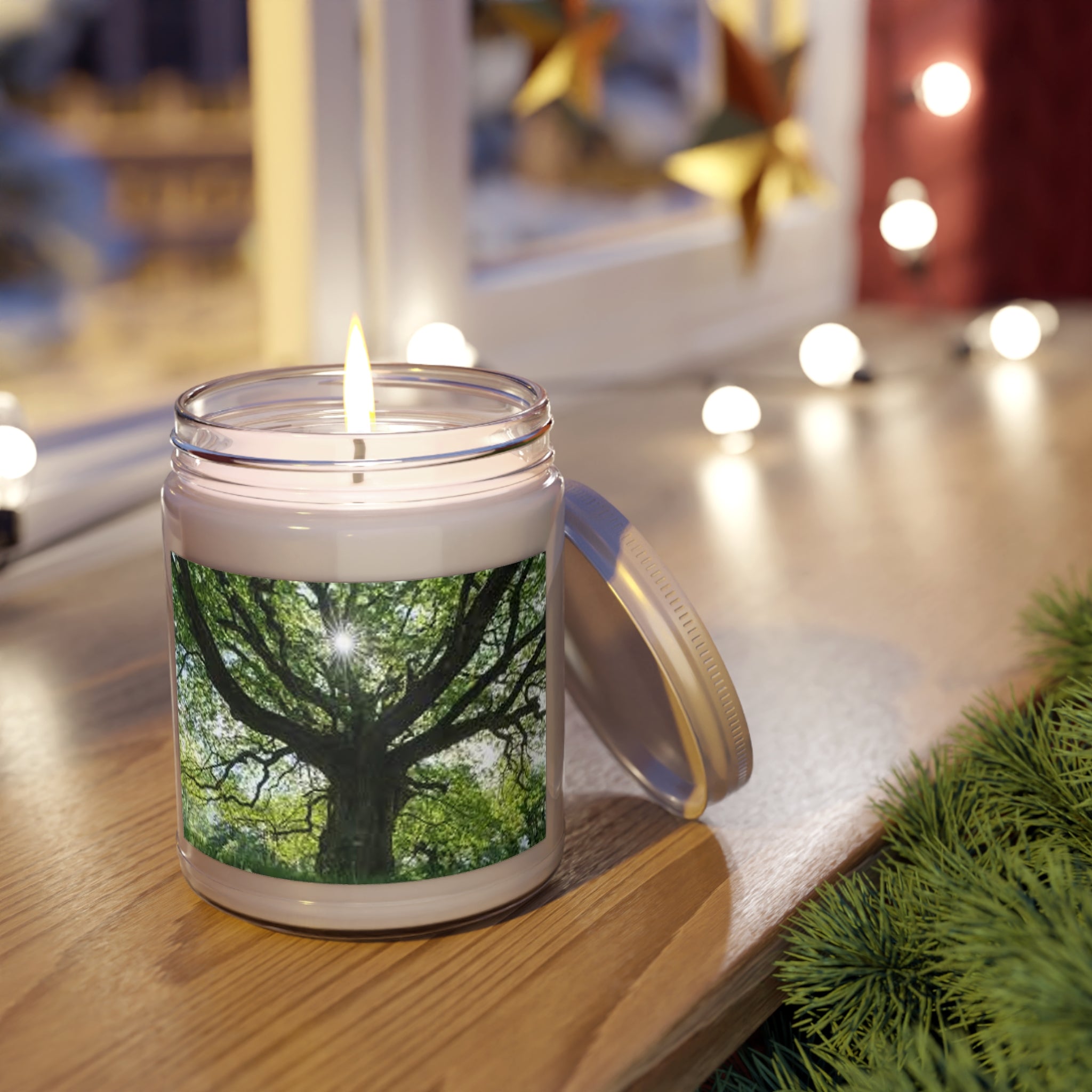 Sunlit Oak Tree Candle | 9oz Soy Candle with White Lid