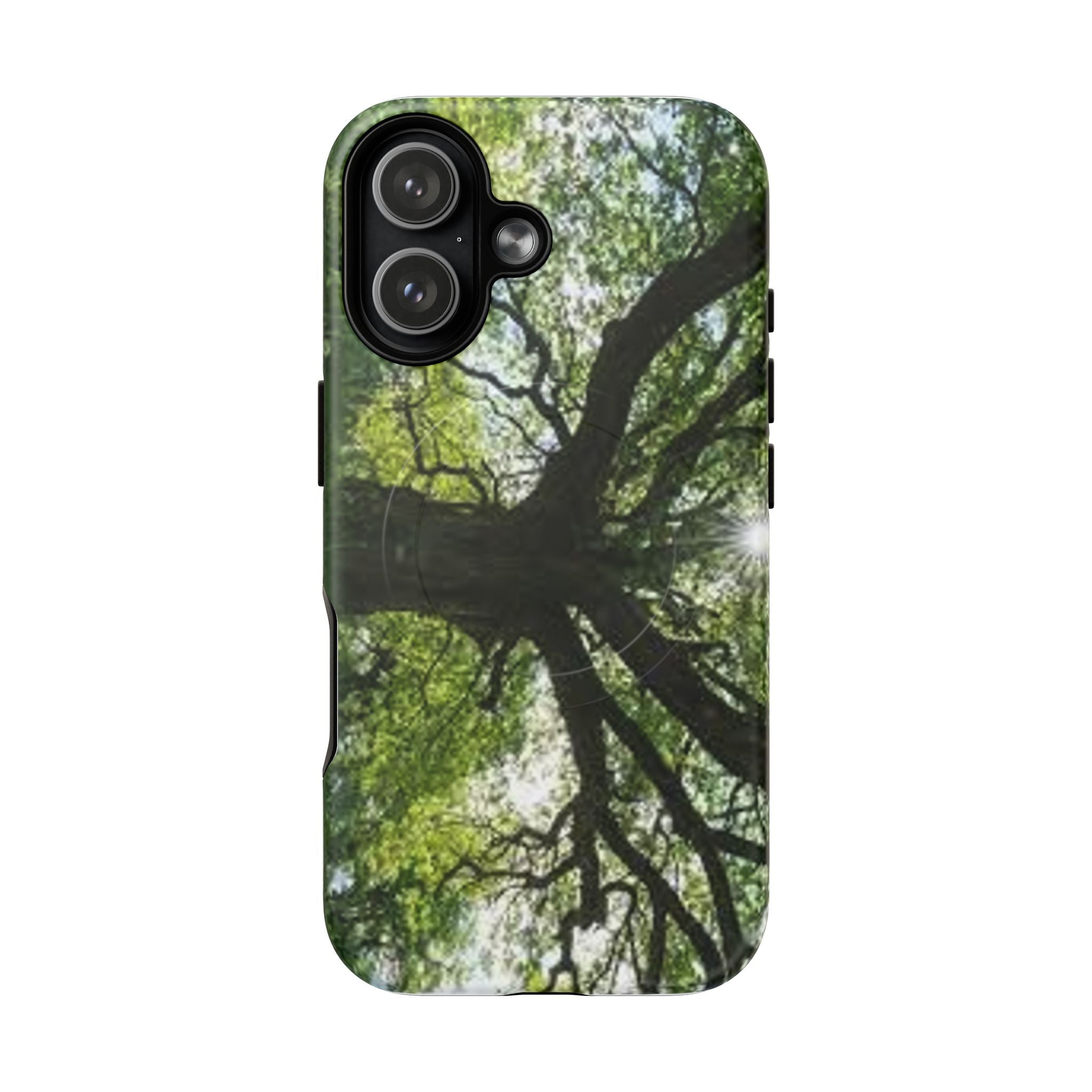 Sunlit Oak Tree Phone Case | Tough Magnetic Case