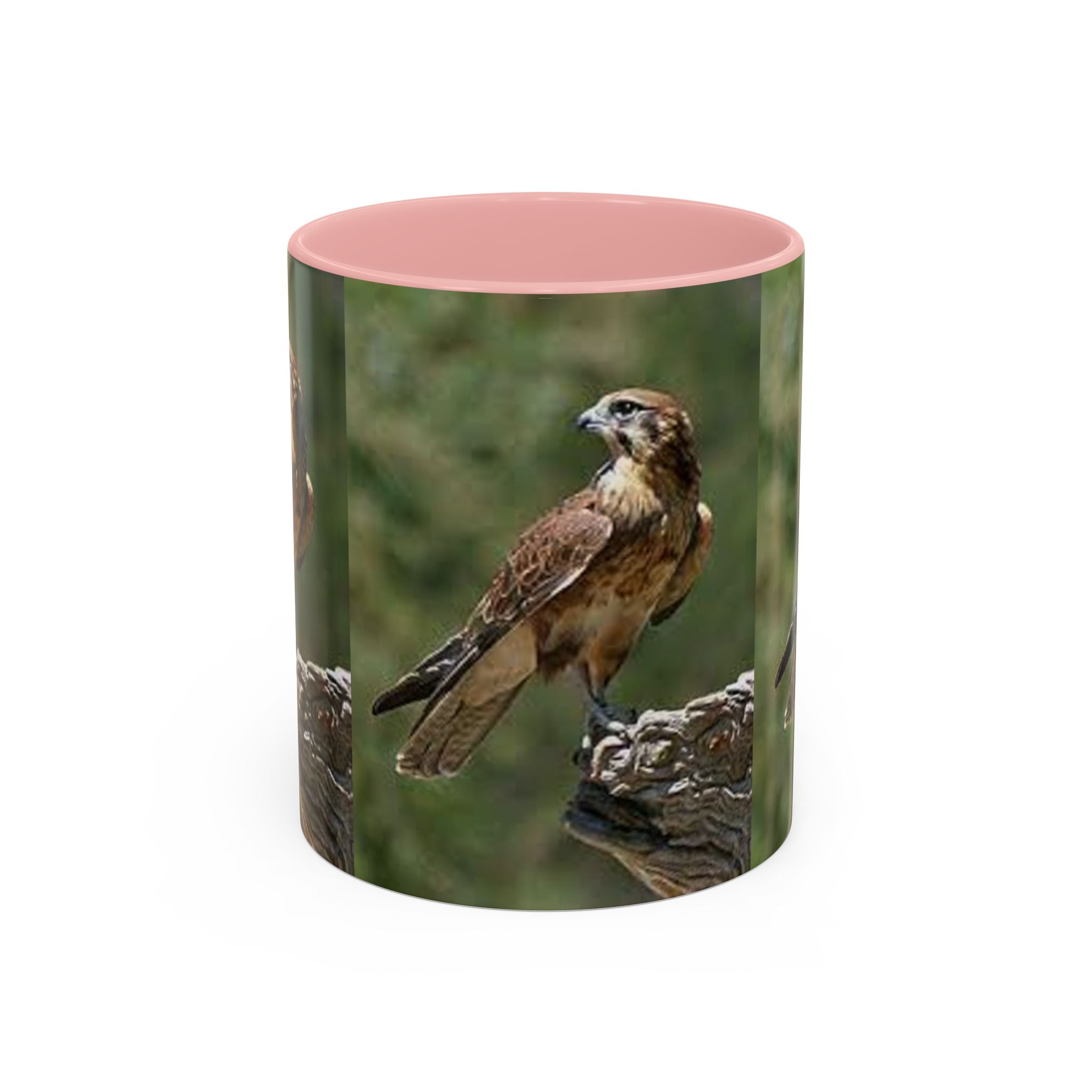 Kestrel Falcon Photo Mug | Accent Coffee Mug 11oz 15oz