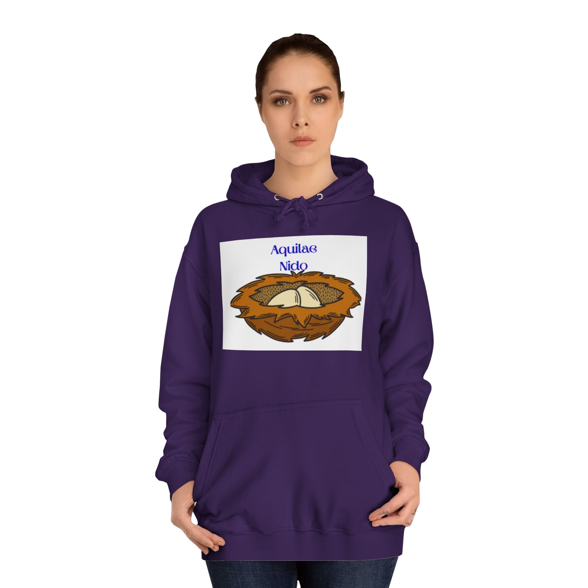 Aquilae Nido Nest Illustration Hoodie | College Crest Style
