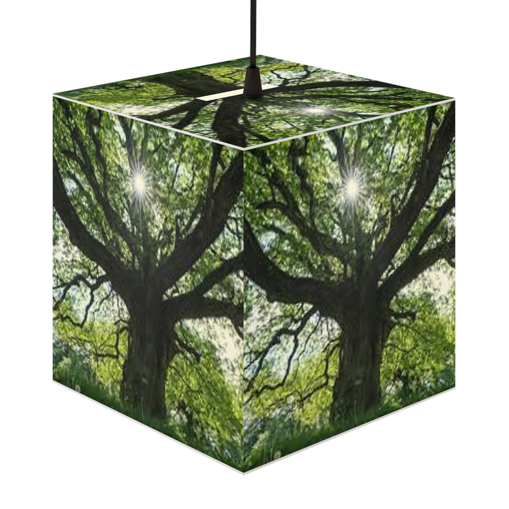 Sunlit Oak Tree Light Cube Lamp | Nature Photography Pendant