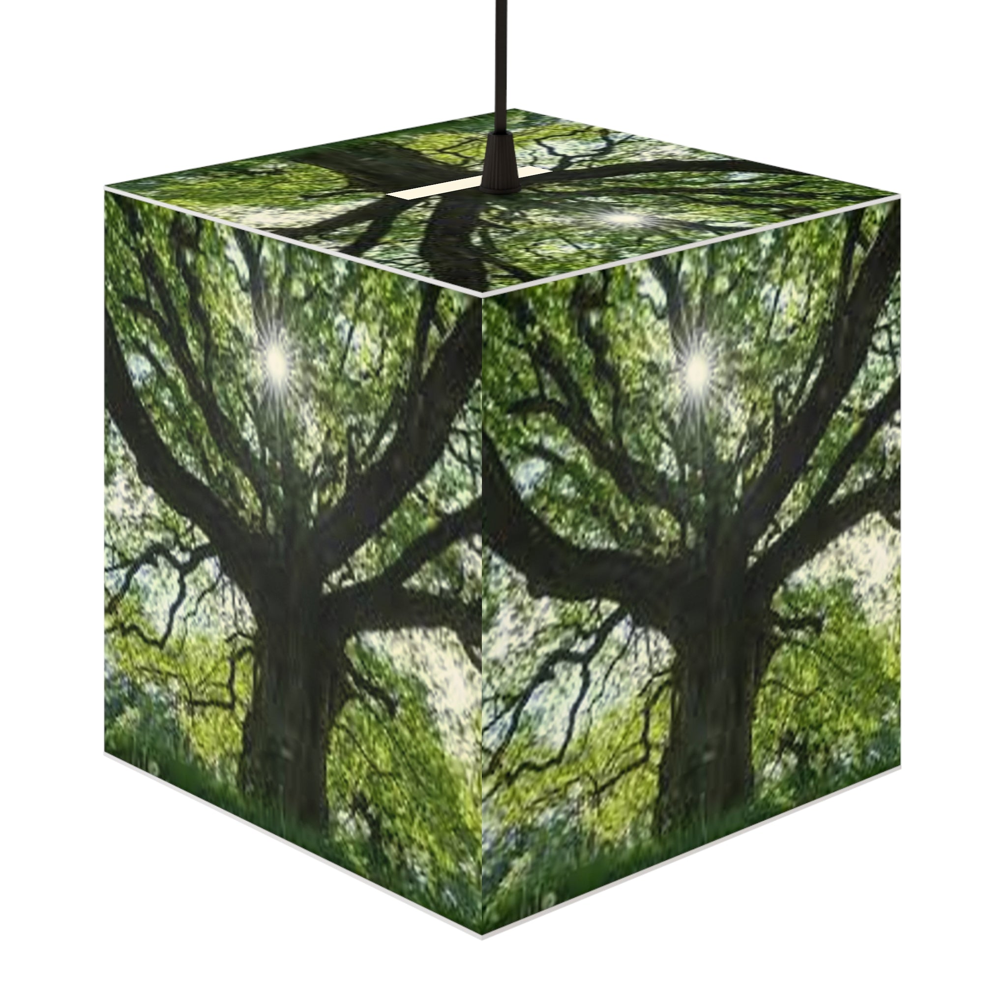 Sunlit Oak Tree Light Cube Lamp | Nature Photography Pendant