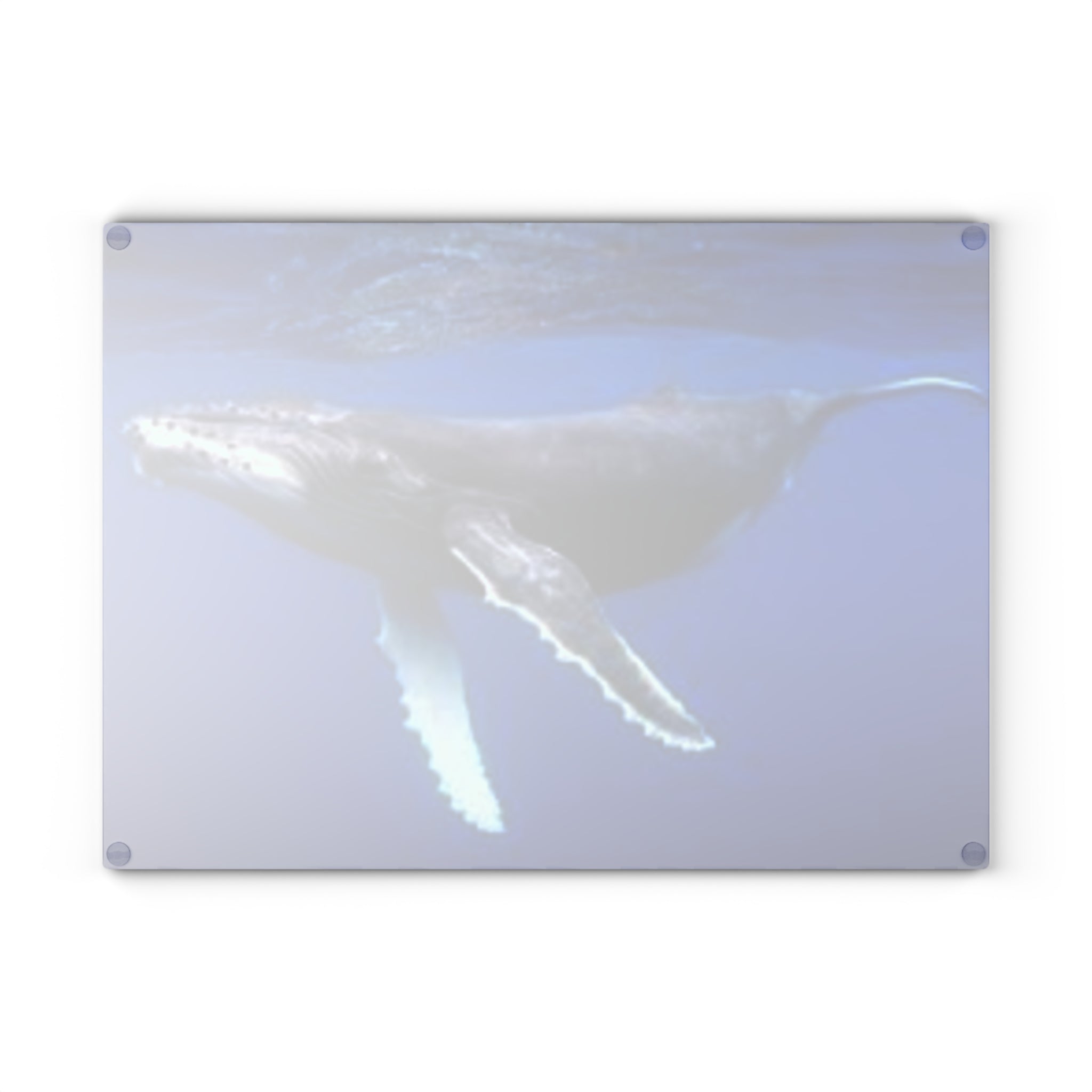 Humpback Whale Ocean Photo Glass Cutting Board | Marine Kitchen Decor