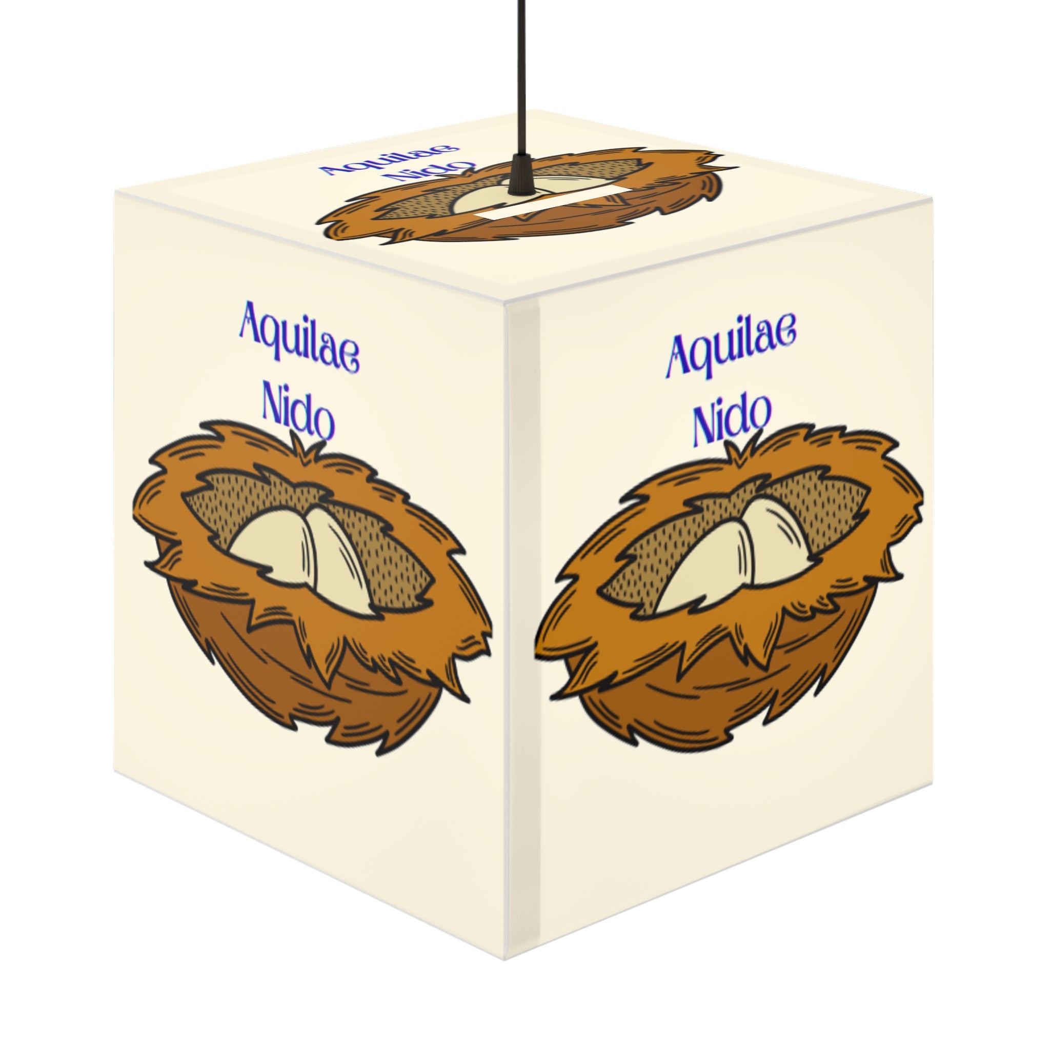 Nest with Eagle Eggs Light Cube Lamp | Nesting Bird Illustration, Latin Text