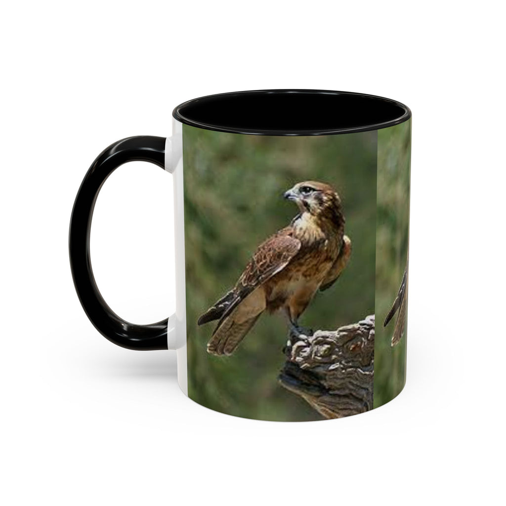 Kestrel Falcon Photo Mug | Accent Coffee Mug 11oz 15oz