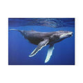 Humpback Whale Ocean Photo Glass Cutting Board | Marine Kitchen Decor
