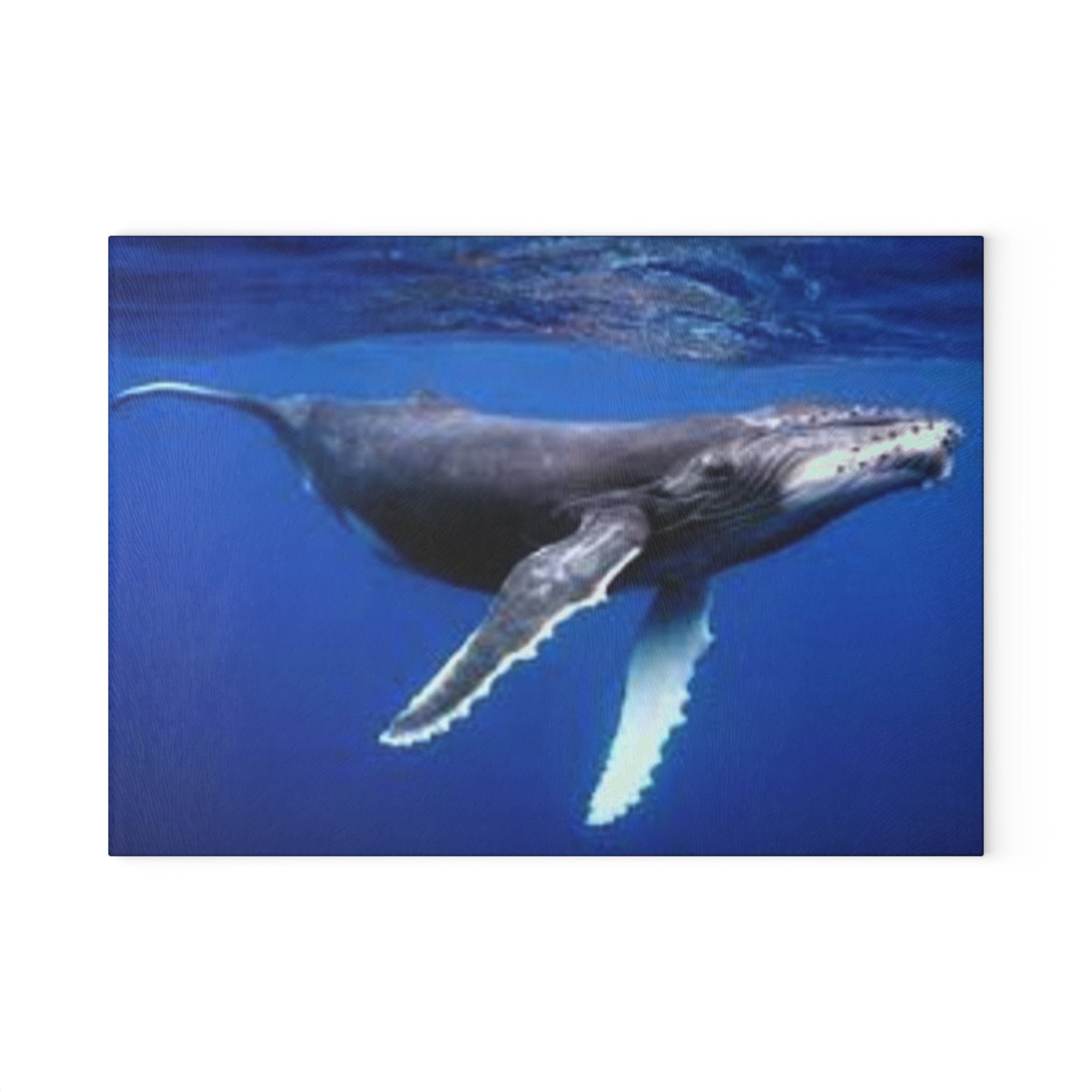 Humpback Whale Ocean Photo Glass Cutting Board | Marine Kitchen Decor
