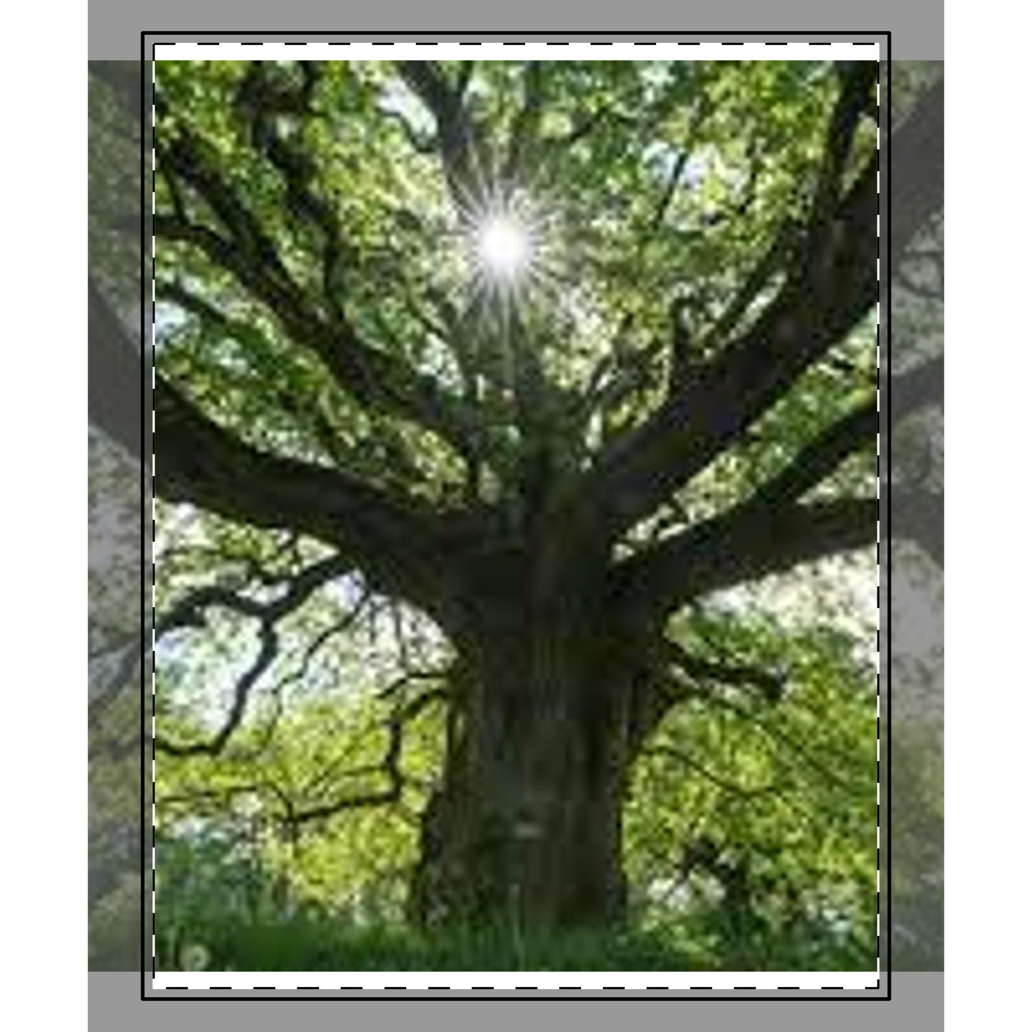 Sunlit Oak Tree Woven-Style Coverlet | Nature Forest Bedding