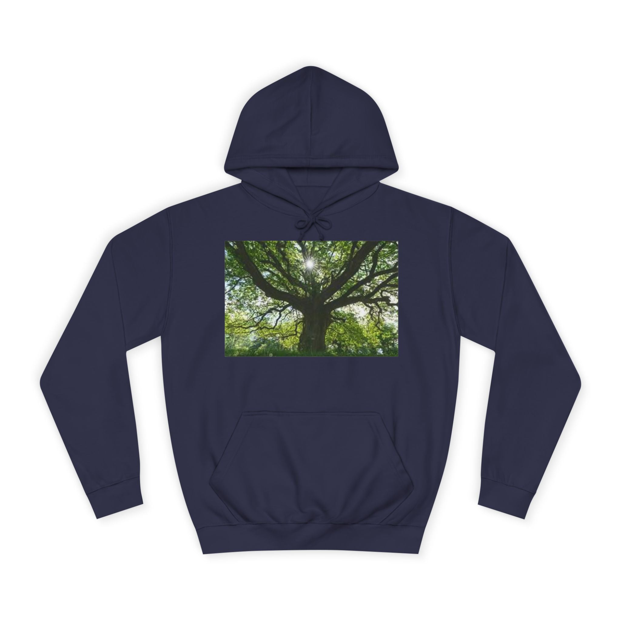 Sunlit Oak Tree Hoodie | Forest Nature Photography, Green Tree Sweatshirt