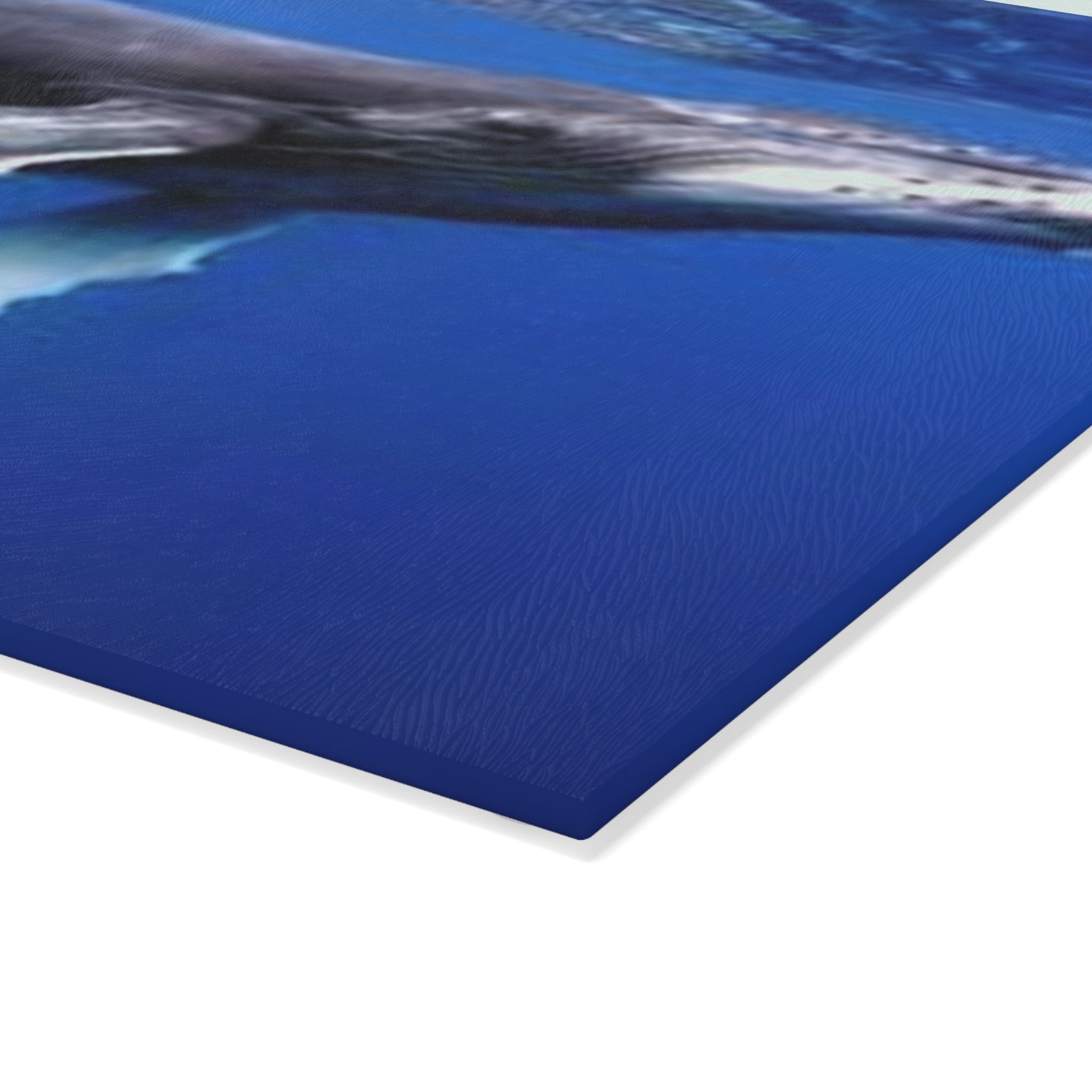 Humpback Whale Ocean Photo Glass Cutting Board | Marine Kitchen Decor