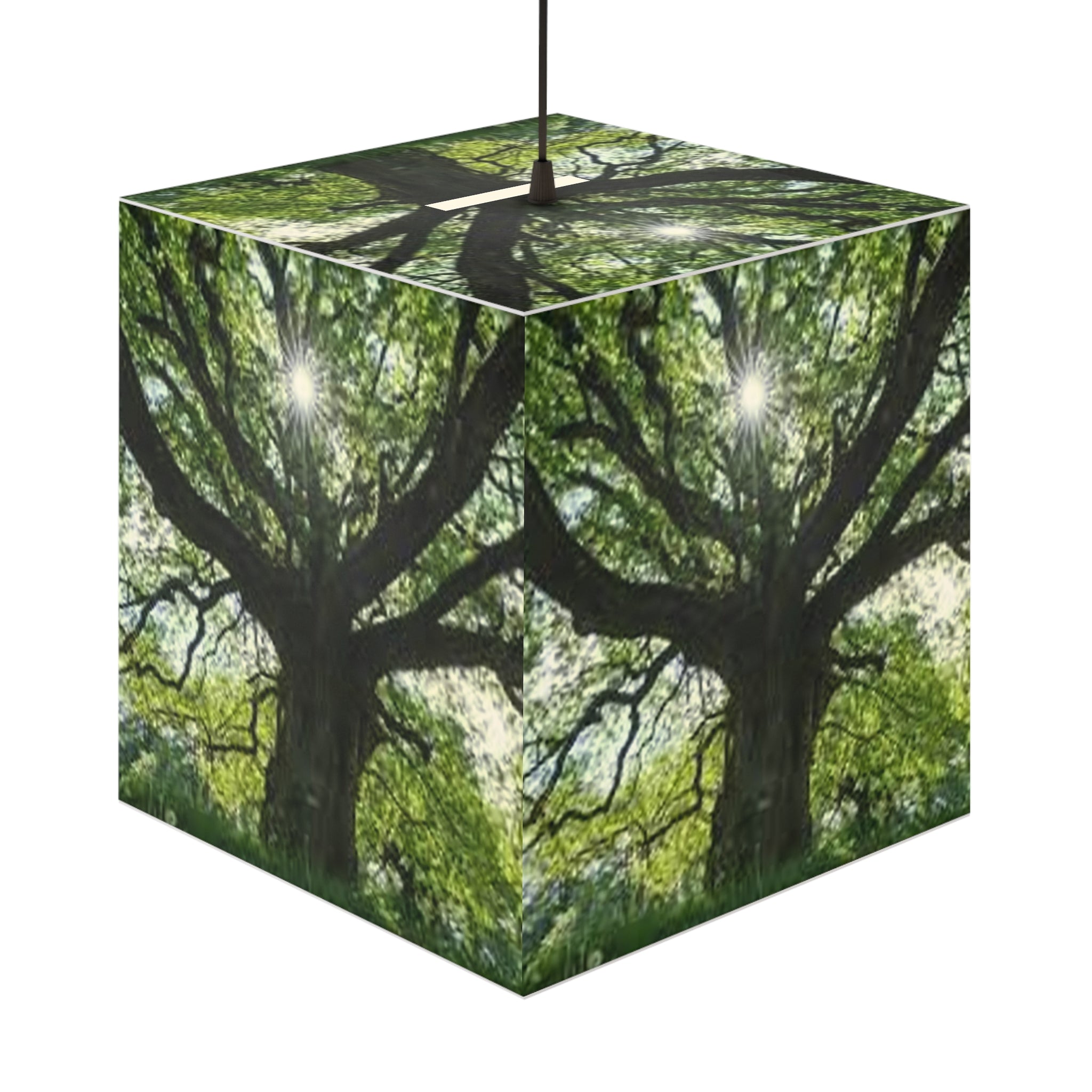 Sunlit Oak Tree Light Cube Lamp | Nature Photography Pendant