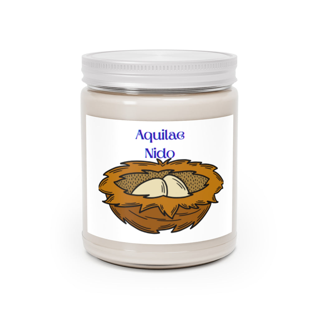 Aquilae Nido Nest Illustration Candle | 9oz Soy Candle