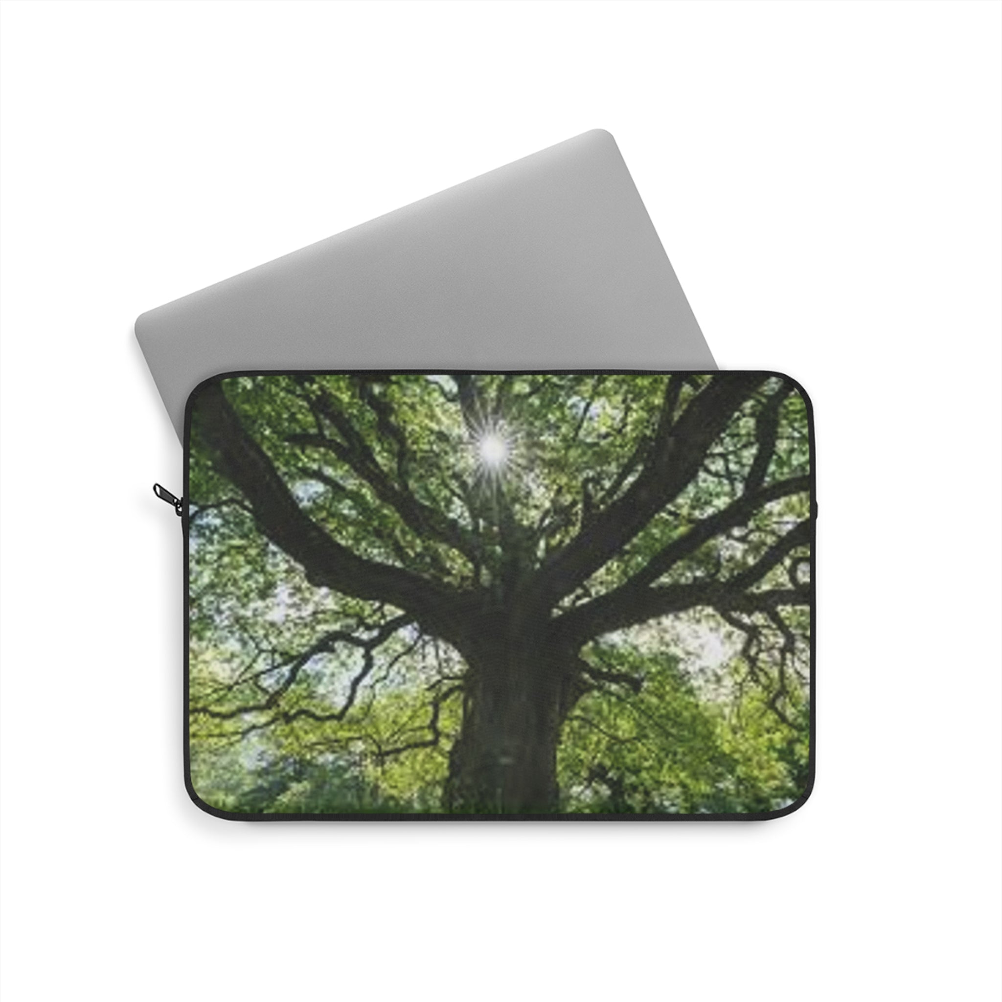 Sunlit Oak Tree Laptop Sleeve | Nature Forest Photography