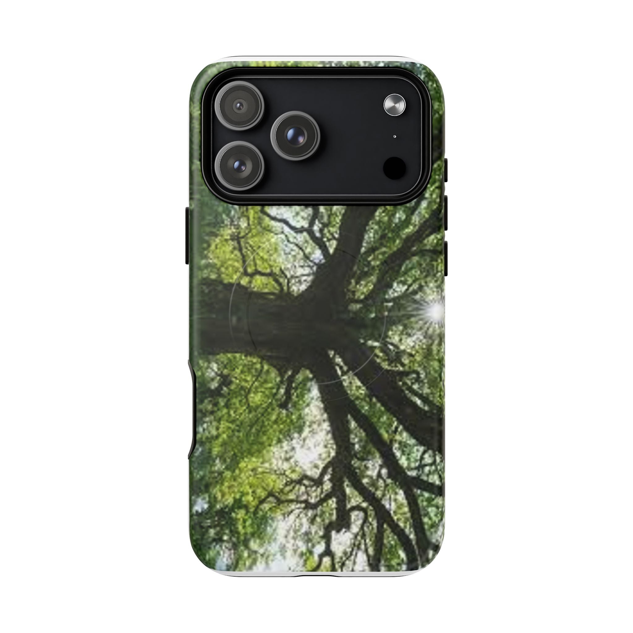 Sunlit Oak Tree Phone Case | Tough Magnetic Case