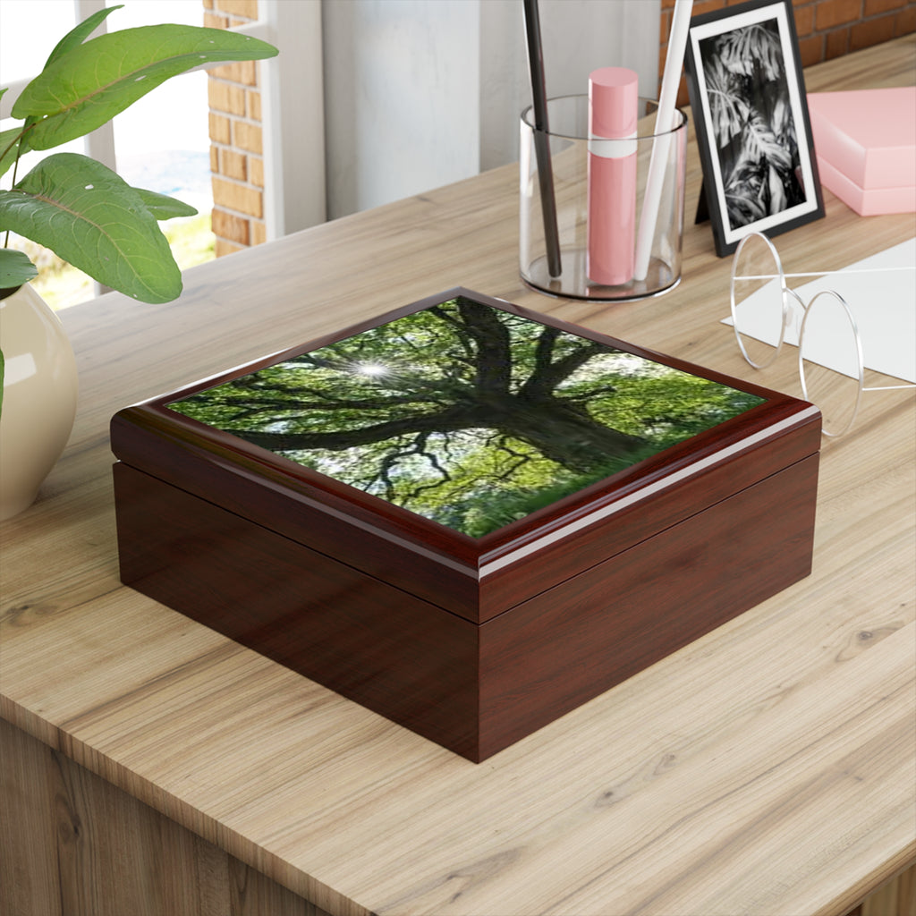 Sunlit Oak Tree Jewelry Box | Nature Woodland Keepsake