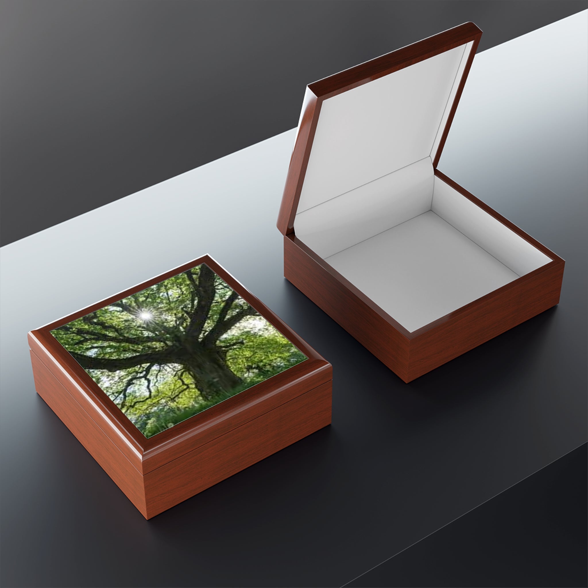 Sunlit Oak Tree Jewelry Box | Nature Woodland Keepsake