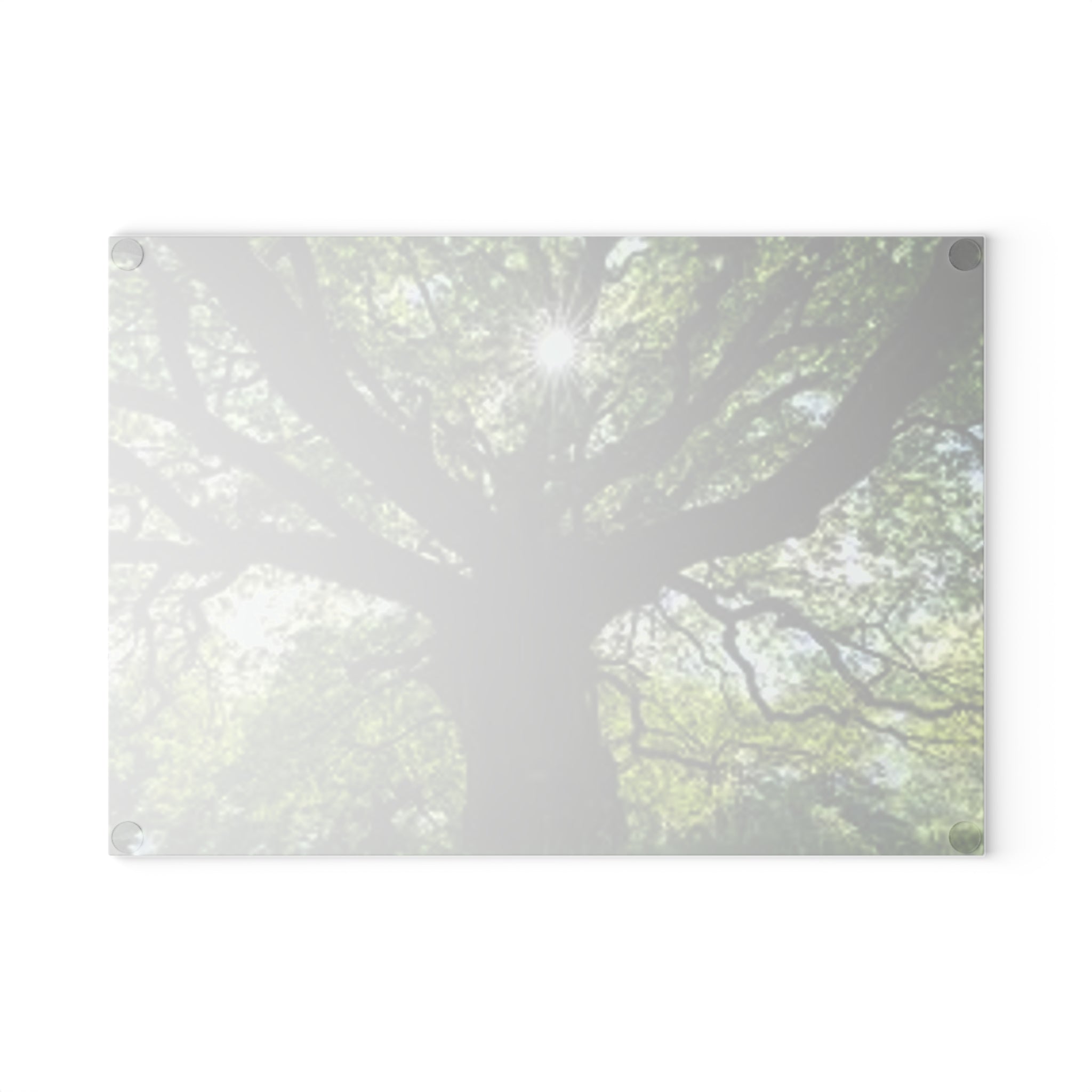 Sunlit Oak Tree Glass Cutting Board | Forest Nature Kitchen Decor