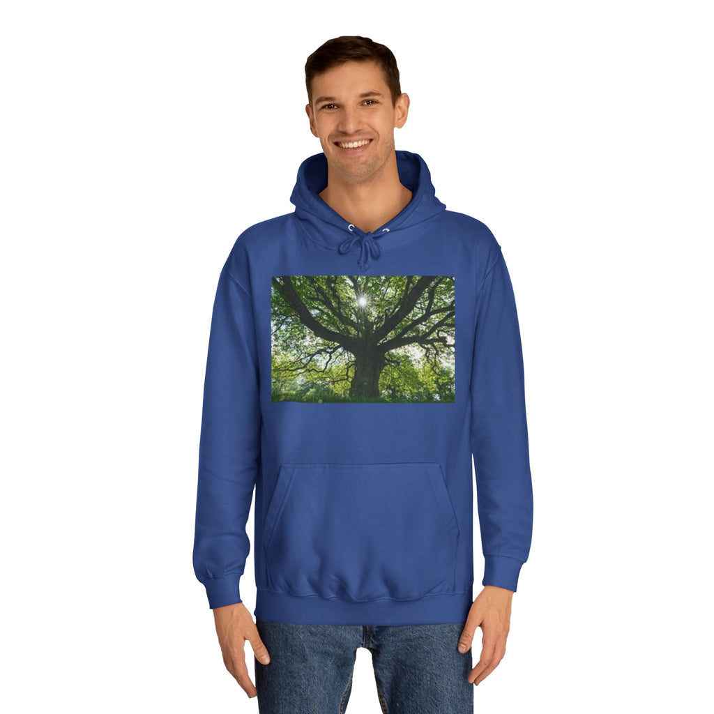 Sunlit Oak Tree Hoodie | Forest Nature Photography, Green Tree Sweatshirt