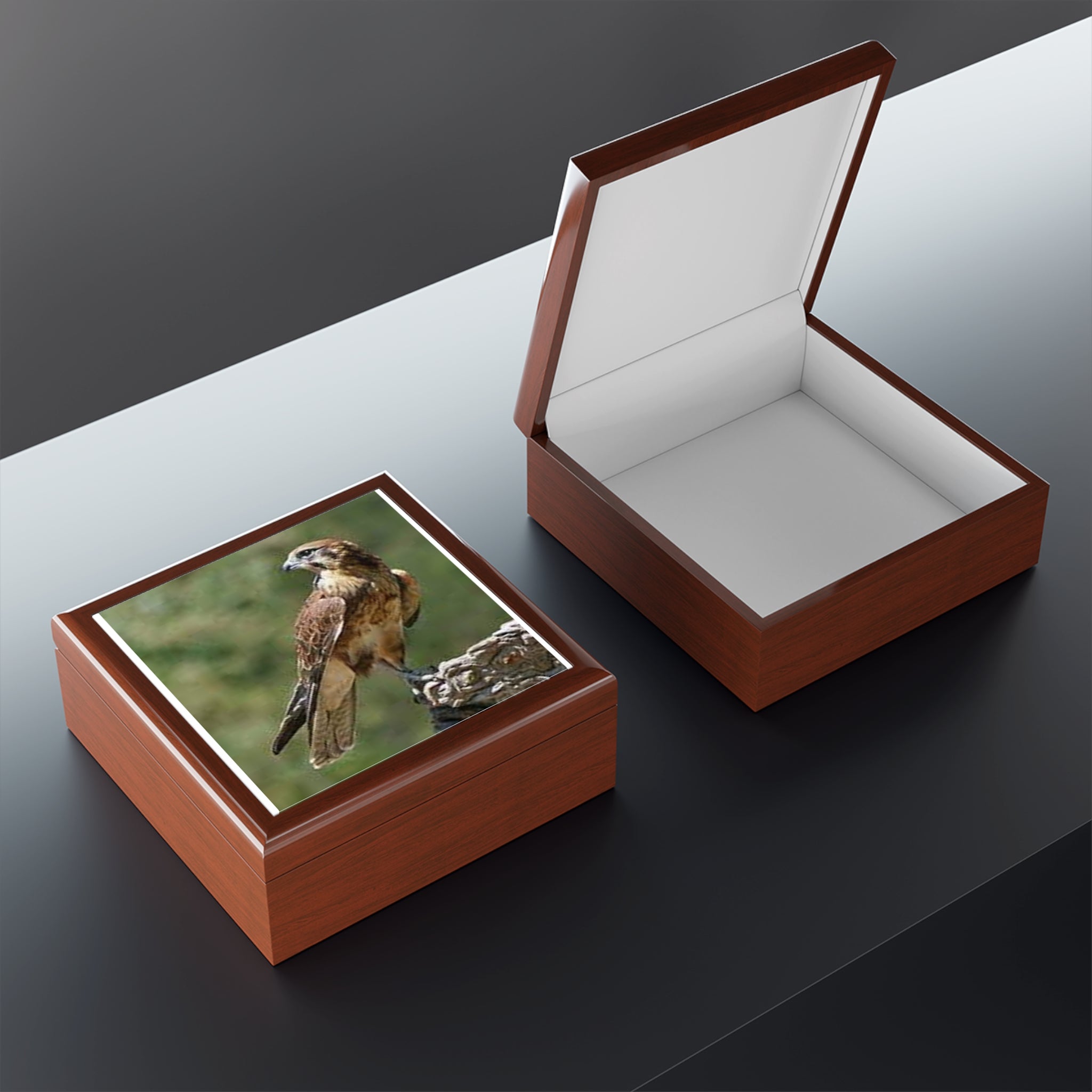 Brown Hawk Illustration Jewelry Box | Bird Photo Trinket Case