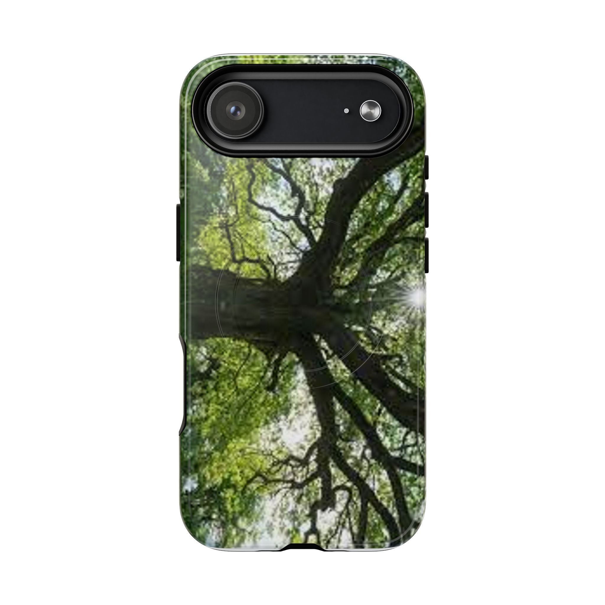 Sunlit Oak Tree Phone Case | Tough Magnetic Case