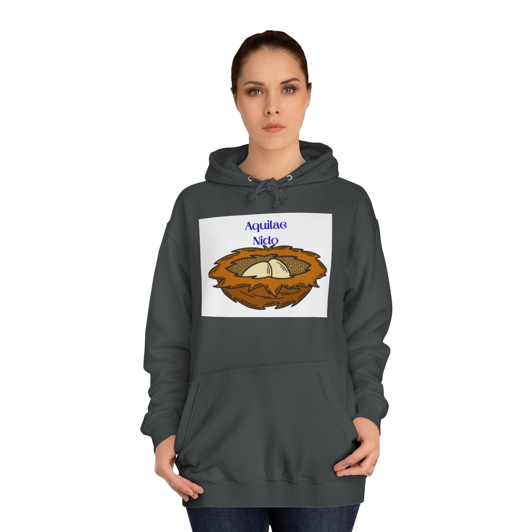 Aquilae Nido Nest Illustration Hoodie | College Crest Style