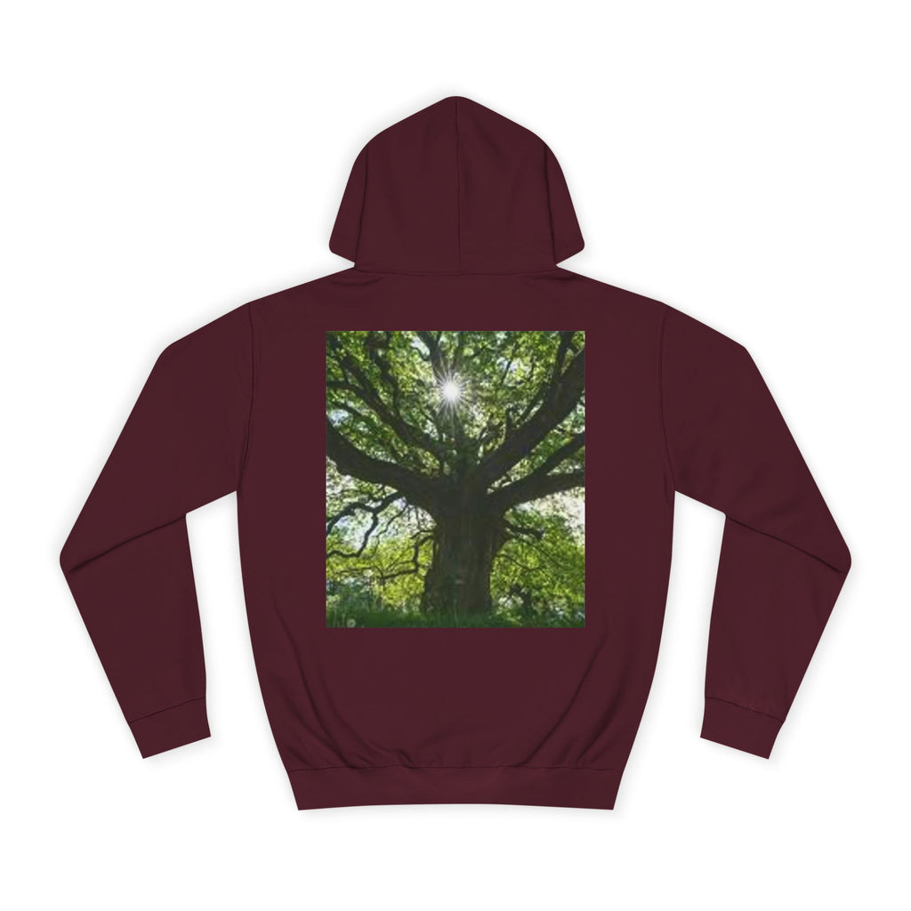 Sunlit Oak Tree Hoodie | Forest Nature Photography, Green Tree Sweatshirt