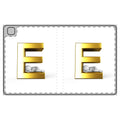 Gold Letter E with Sleeping Figure Tablet Folio Case | Monogram E