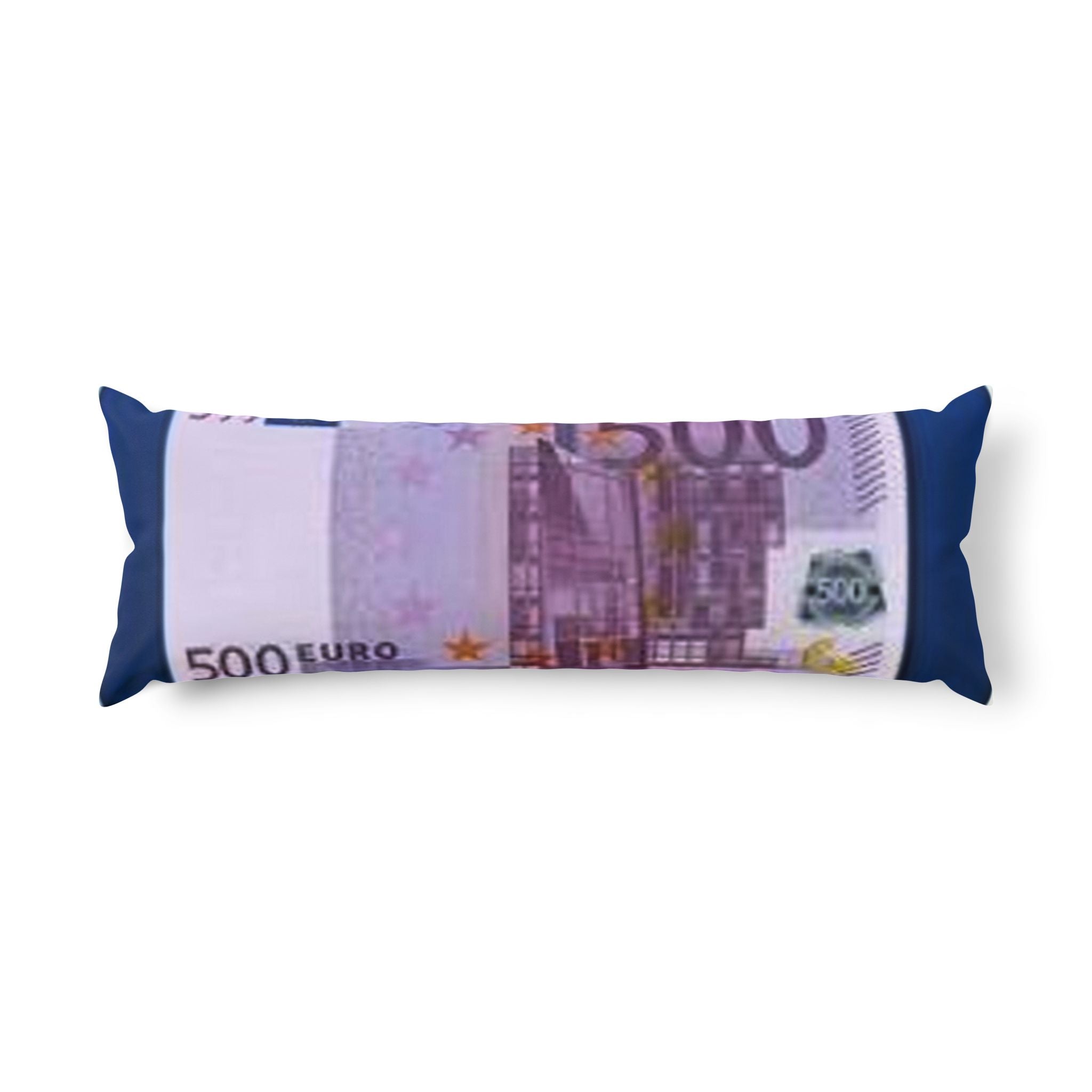 Traversin billet de 500 euros | Imprimé argent, coussin fantaisie