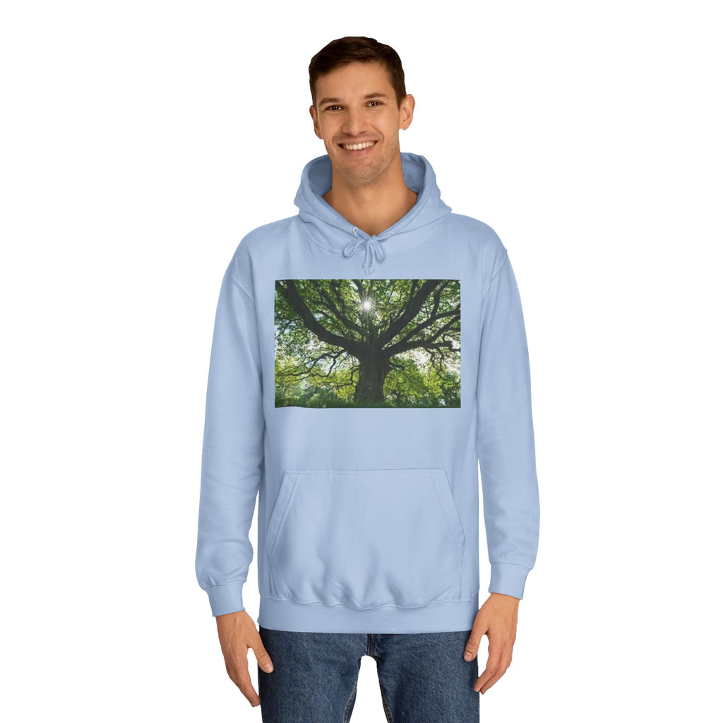 Sunlit Oak Tree Hoodie | Forest Nature Photography, Green Tree Sweatshirt