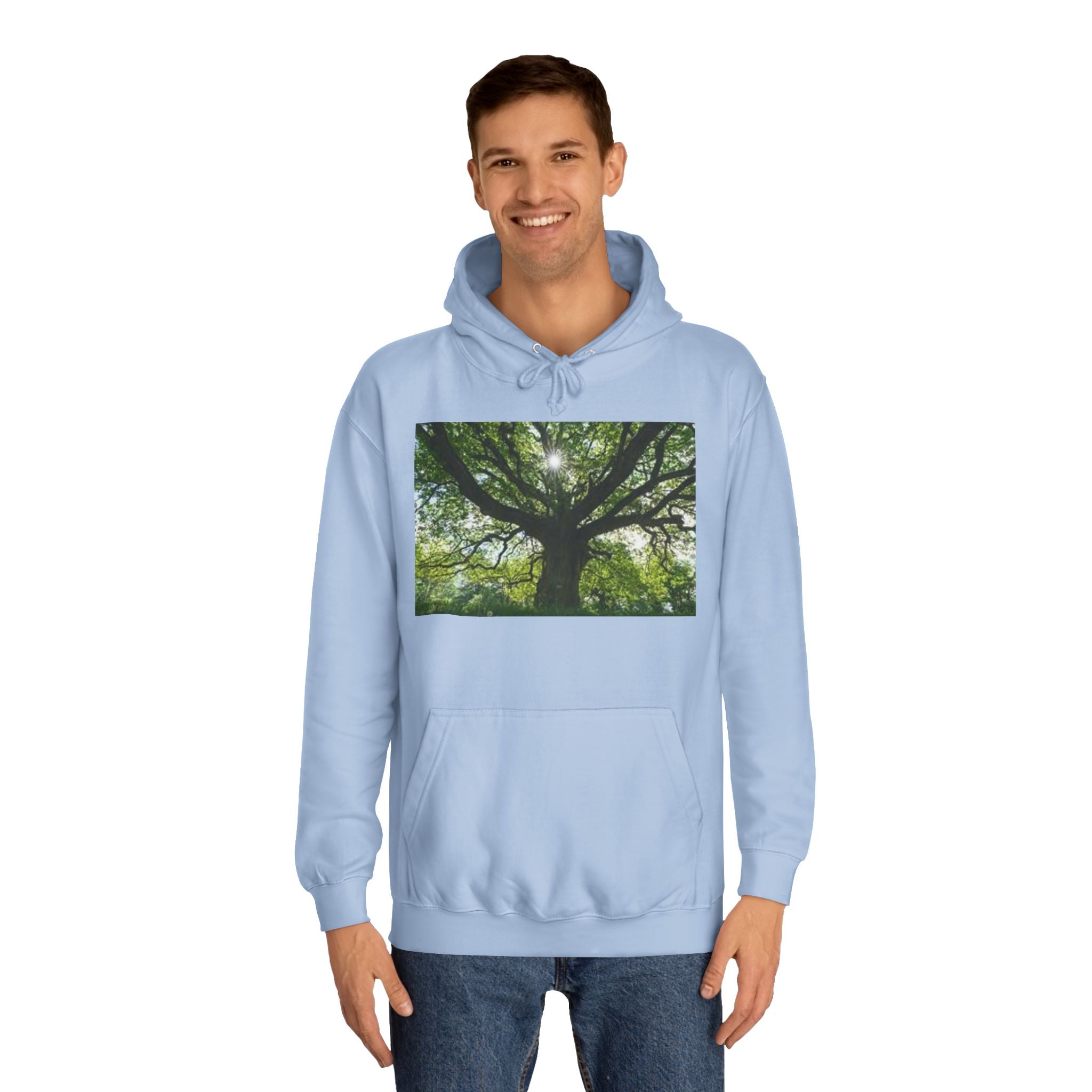 Sunlit Oak Tree Hoodie | Forest Nature Photography, Green Tree Sweatshirt