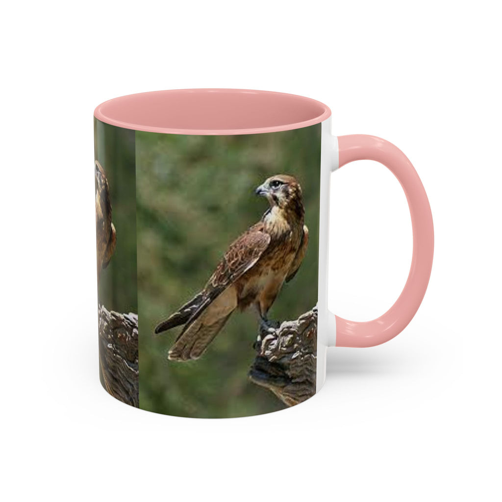 Kestrel Falcon Photo Mug | Accent Coffee Mug 11oz 15oz