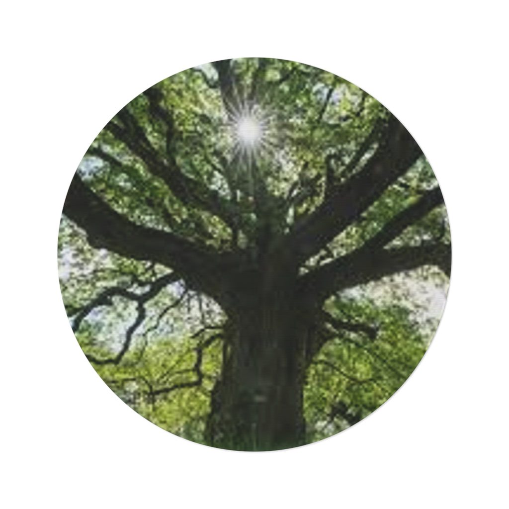 Sunlit Oak Tree Round Rug | Nature Tree Canopy Floor Mat