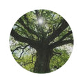 Sunlit Oak Tree Round Rug | Nature Tree Canopy Floor Mat