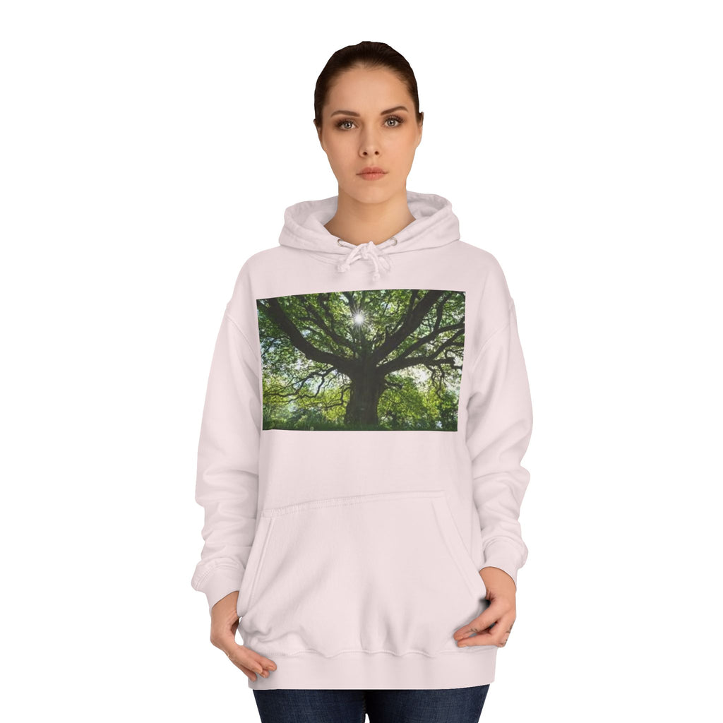 Sunlit Oak Tree Hoodie | Forest Nature Photography, Green Tree Sweatshirt