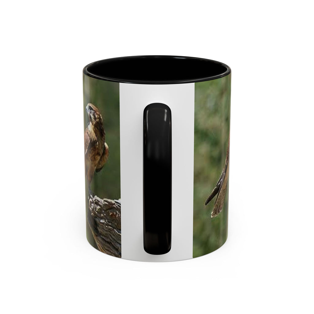 Kestrel Falcon Photo Mug | Accent Coffee Mug 11oz 15oz
