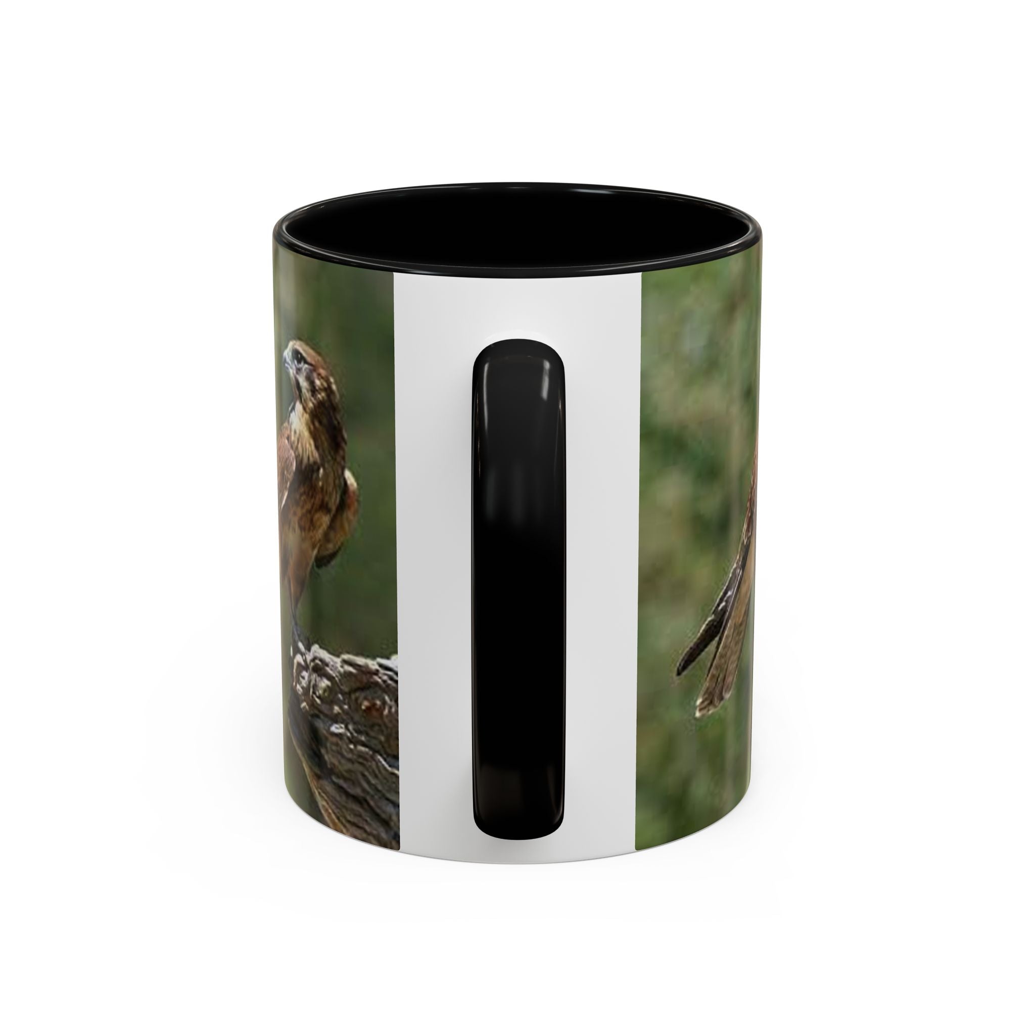 Kestrel Falcon Photo Mug | Accent Coffee Mug 11oz 15oz