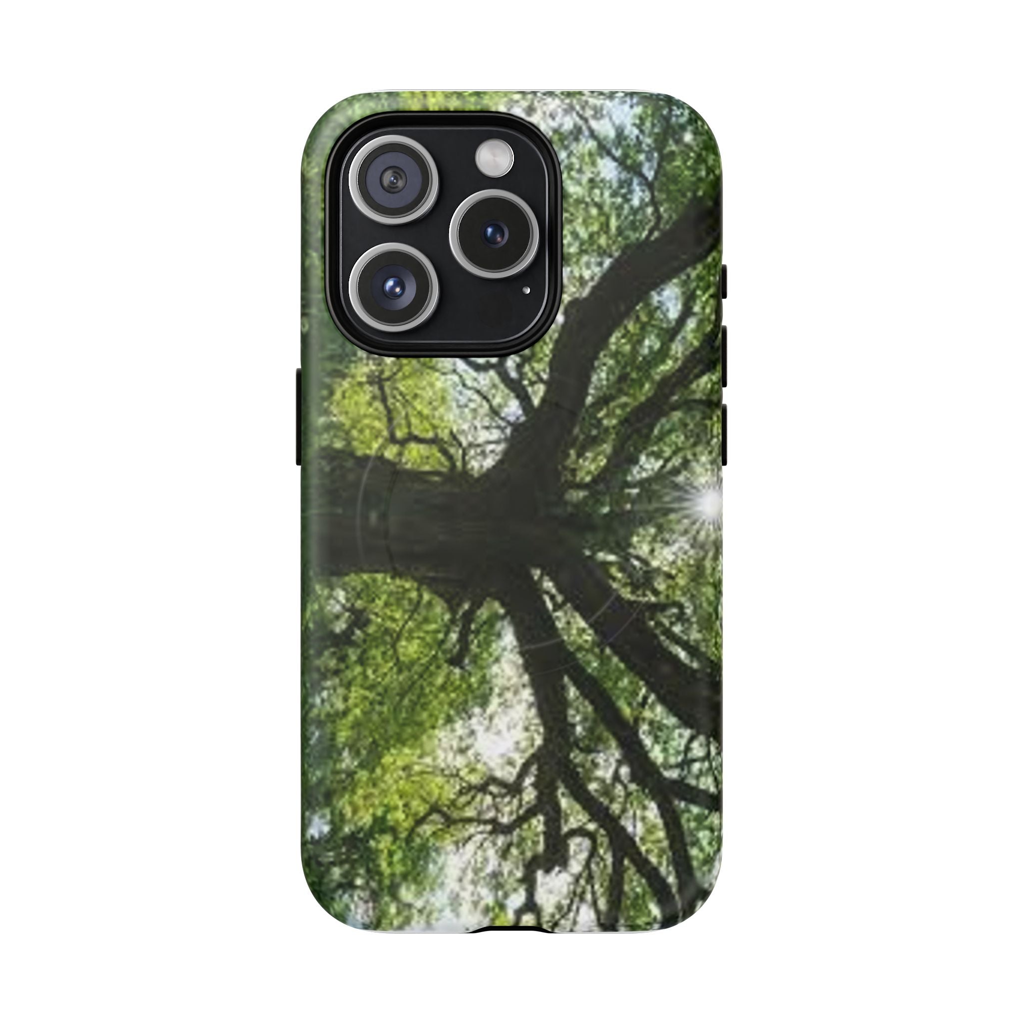 Sunlit Oak Tree Phone Case | Tough Magnetic Case
