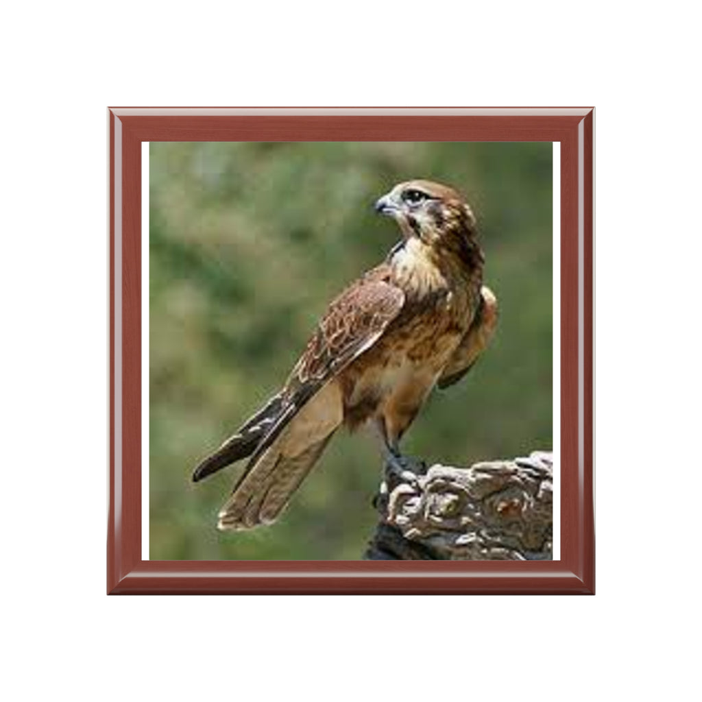 Brown Hawk Illustration Jewelry Box | Bird Photo Trinket Case