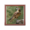 Brown Hawk Illustration Jewelry Box | Bird Photo Trinket Case