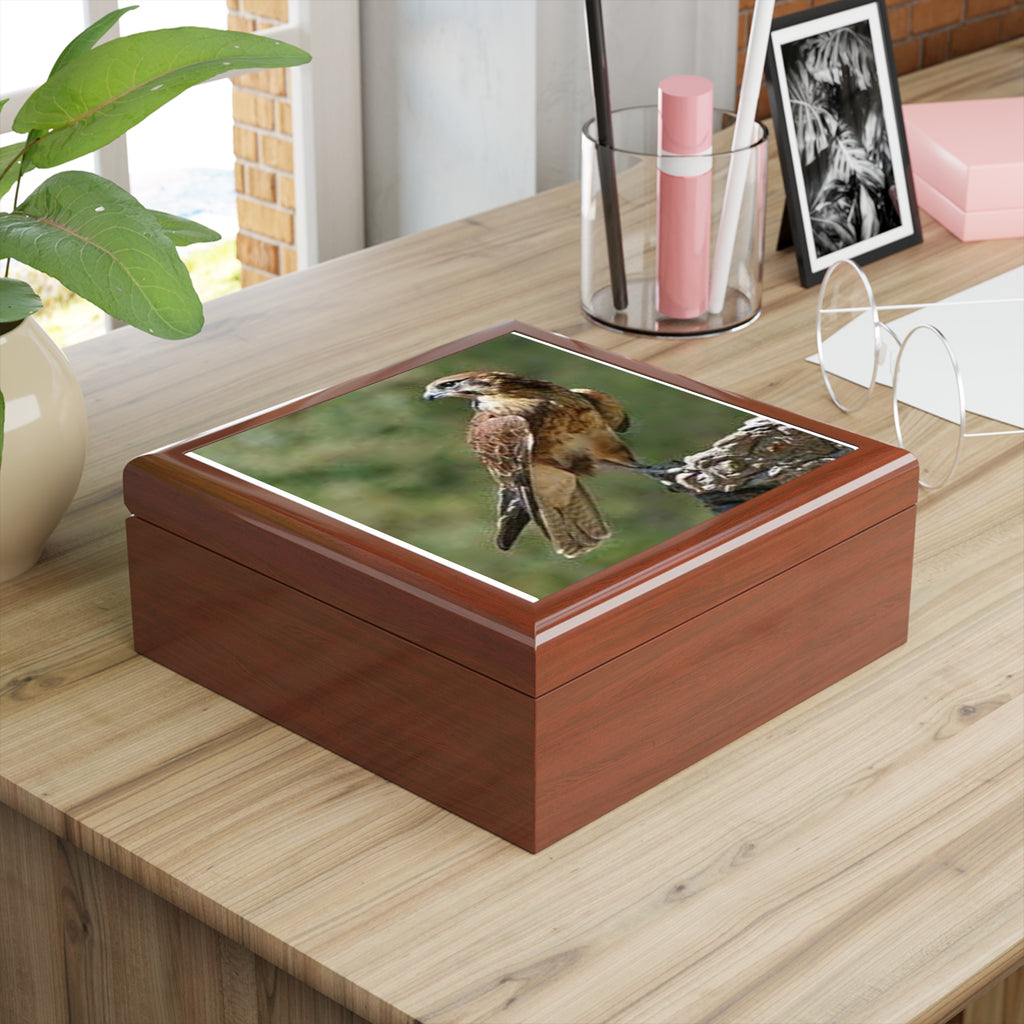 Brown Hawk Illustration Jewelry Box | Bird Photo Trinket Case