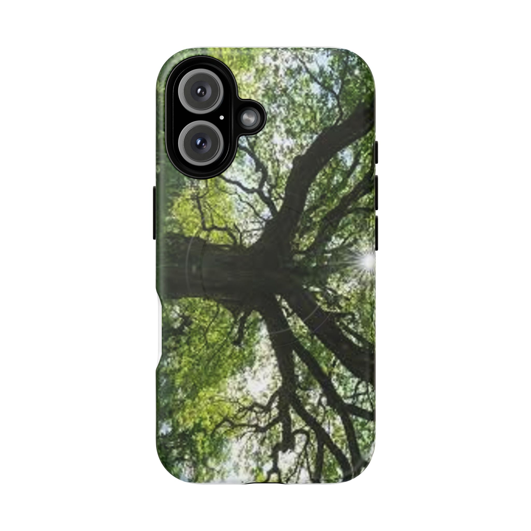 Sunlit Oak Tree Phone Case | Tough Magnetic Case