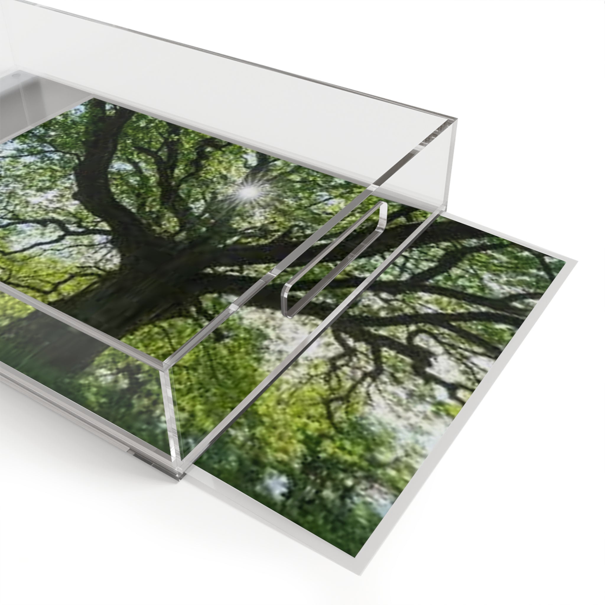 Sunlight Through Oak Tree Acrylic Serving Tray | Nature Landscape