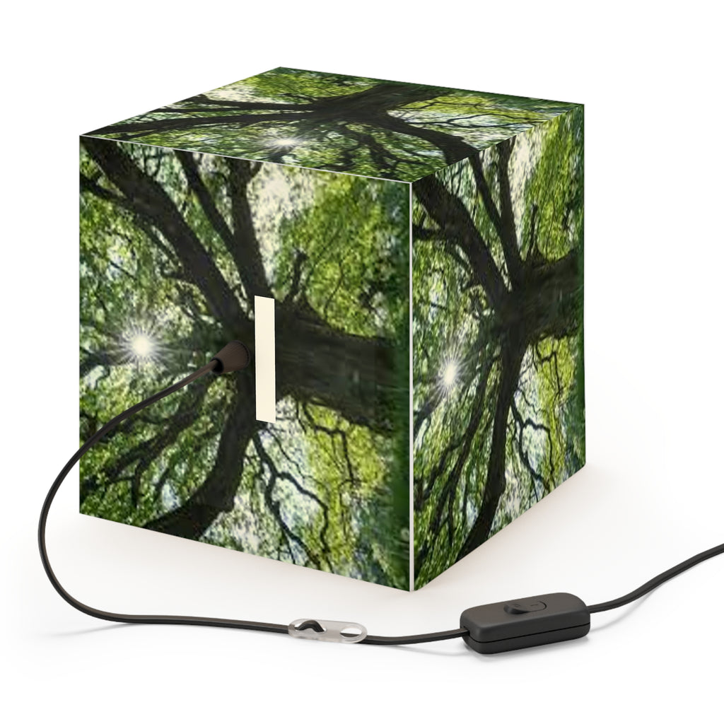 Sunlit Oak Tree Light Cube Lamp | Nature Photography Pendant