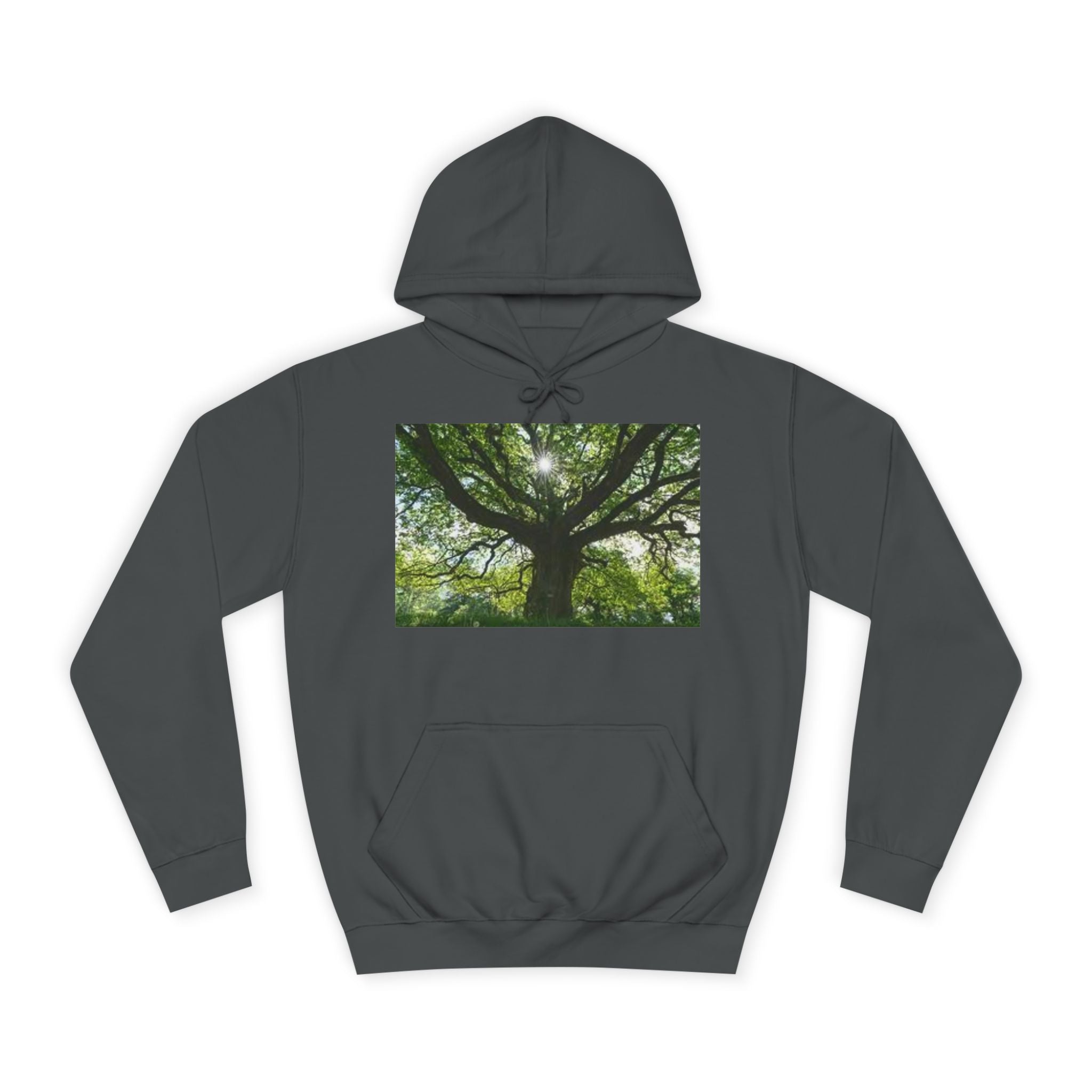 Sunlit Oak Tree Hoodie | Forest Nature Photography, Green Tree Sweatshirt