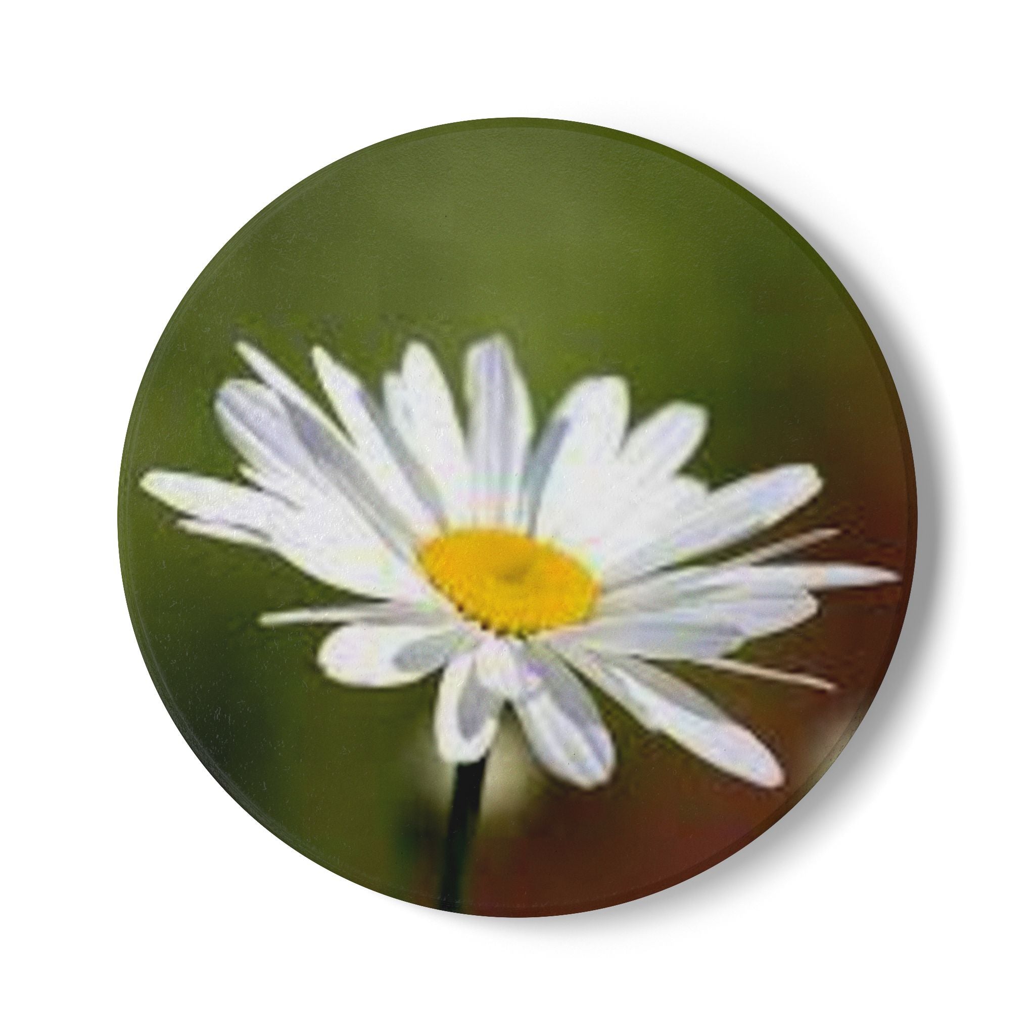 White Daisy Illustration Ceramic Coaster | Floral Drink Coaster, Cork Back
