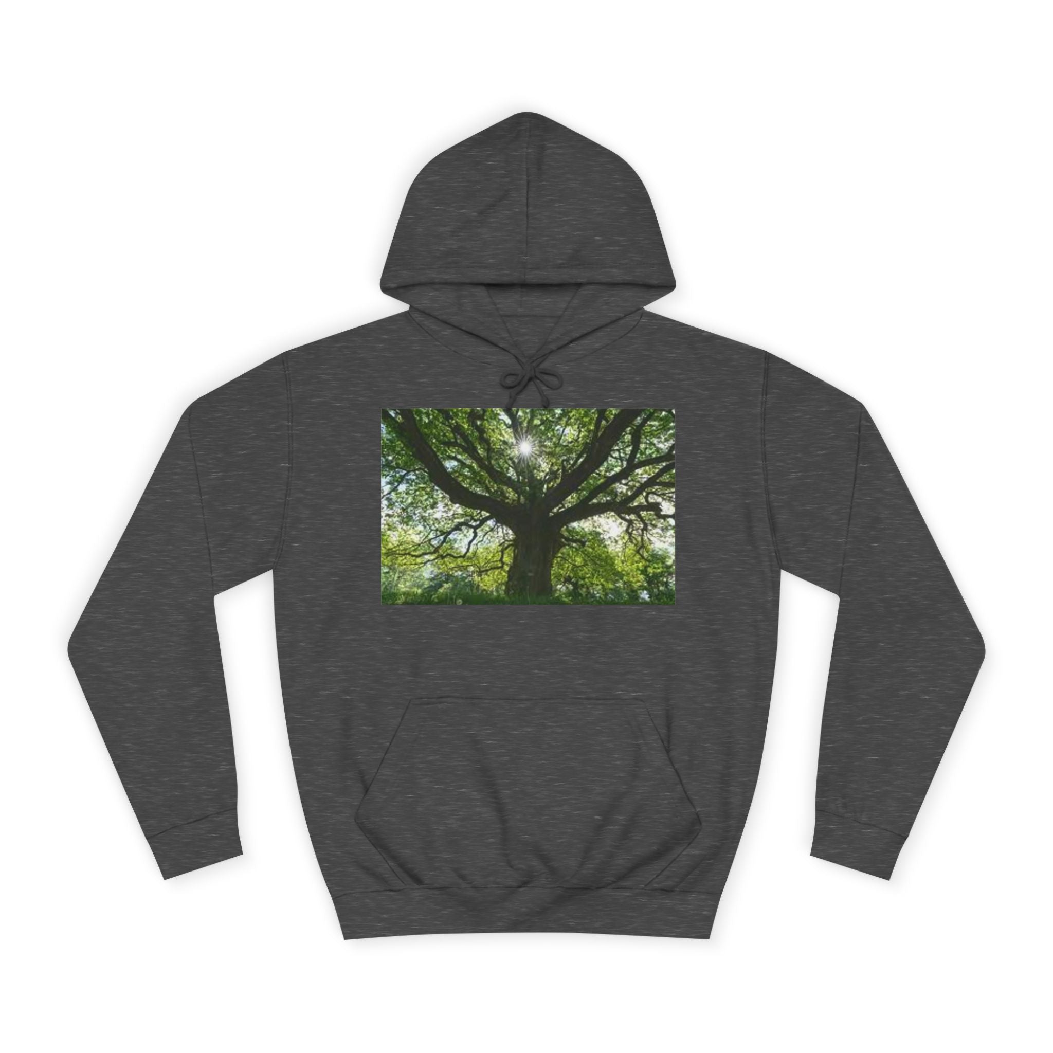 Sunlit Oak Tree Hoodie | Forest Nature Photography, Green Tree Sweatshirt